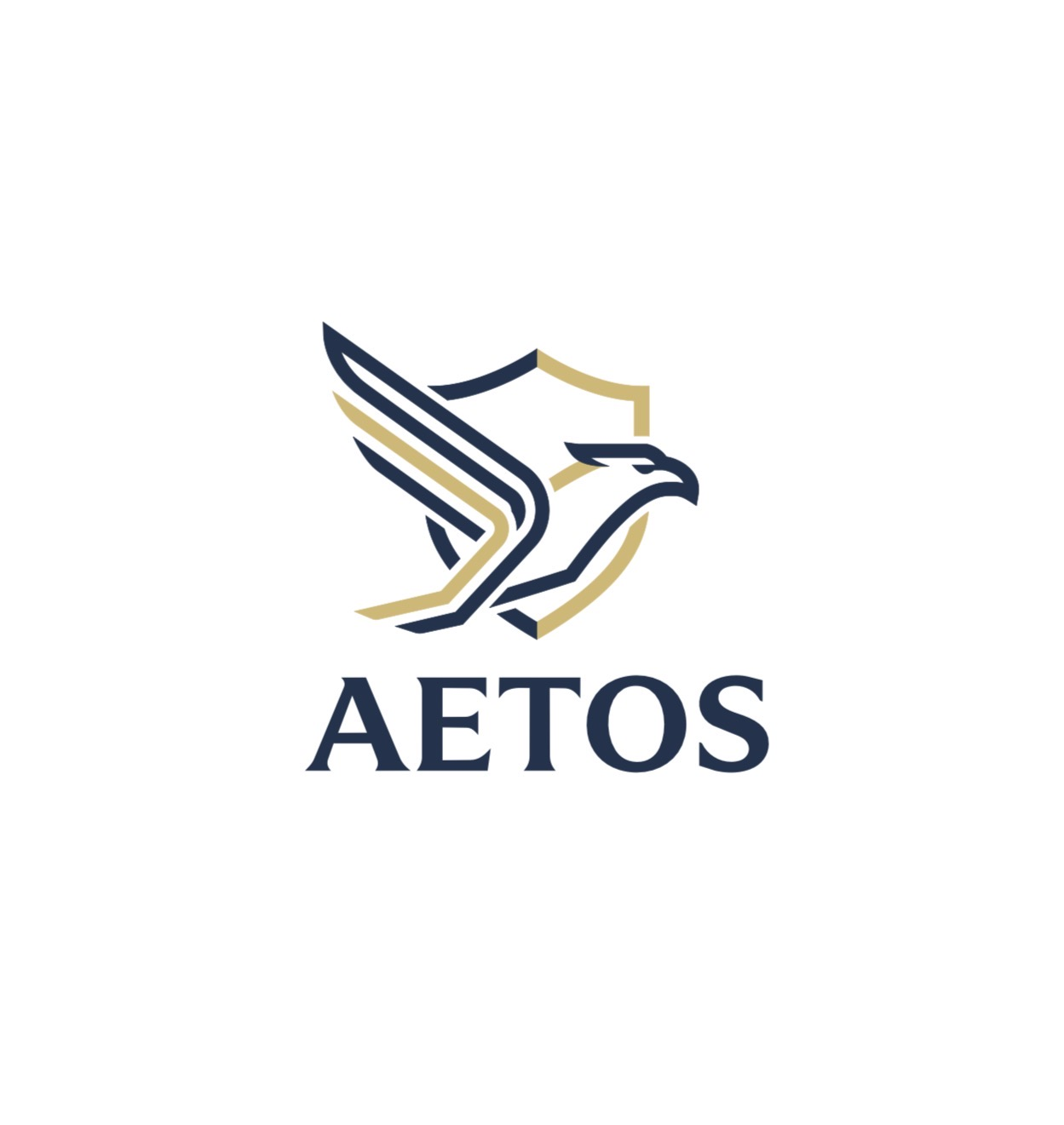 Aetos Seguros
